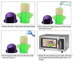 AISIBO Microwave Cleaner Steam - Quick & Easy Clean