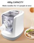 Zuguachi Electric Pasta Machine, 260w Household Fully Automatic Noodle Machine, 13 Types Of Noodle Molds, 500g Flour Capacity Noodle Machine