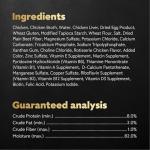Cesar Filets in Gravy Wet Dog Food Rotisserie Chicken Flavor, 1.76 oz. Mini-Pouch (20 Count, Pack of 1)