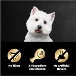 Cesar Filets in Gravy Wet Dog Food Rotisserie Chicken Flavor, 1.76 oz. Mini-Pouch (20 Count, Pack of 1)