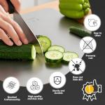 Solaverano Stainless Steel Cutting Board, Non Toxic Cutting Board Chopping Board for Meat Cheese Bread Vegetable Fruit（11.6 * 7.9in)