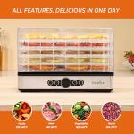 Food Dehydrator Dryer - Dehydrator for Healthy Food, Meat, Jerky, Fruit, Vegetable, Mushroom and Herb, 400W, 158°F, Mini Dryer with 5 BPA-Free Drying Racks and Slide Out Tray, White, Model 904