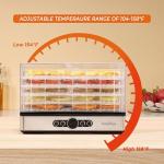 Food Dehydrator Dryer - Dehydrator for Healthy Food, Meat, Jerky, Fruit, Vegetable, Mushroom and Herb, 400W, 158°F, Mini Dryer with 5 BPA-Free Drying Racks and Slide Out Tray, White, Model 904