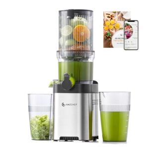 AMZCHEF Cold Press Juicer, Juicer Machines - 4.6" Large Feed Chute for Whole Fruits & Vegetables, Stainless Steel Slow Masticating Juicer Easy to Clean, Large Auger, Double Strainers, Silver