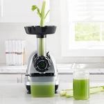Omega Cold Press Juicer with Adjustable Dial, Silver