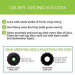 Omega Cold Press Juicer with Adjustable Dial, Silver