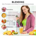5-in-1 Handheld Immersion Blender with Accessories