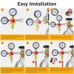 CO2 Beer Keg Regulator for Home Brewing