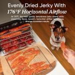 COSORI Food Dehydrator with 5 Stainless Steel Trays
