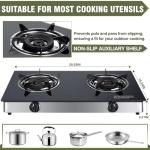 Portable 2 Burner Propane Gas Cooktop for Camping