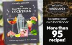 Essential Guide to Cocktails: Mix Like a Pro