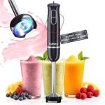 300W Handheld Immersion Blender Set in Black