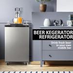Festisoul 170L Dual Tap Kegerator with Digital Thermostat