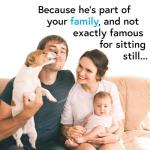 iProven Flexible Pet Thermometer for Fast Fever Readings