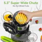 Cold Press Juicer with Large Feed Chute