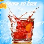 Portable Countertop Ice Maker - 8 Cubes in 6 Minutes