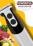MegaWise Pro 5-in-1 Immersion Hand Blender