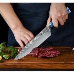 Dfito 9-Piece Professional Chef Knife Set
