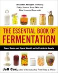Essential Guide to Fermentation for Health and Flavor