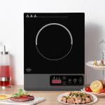 Struics 1200W Portable Induction Cooktop with Timer