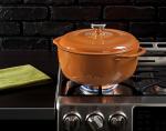 Lodge 6 Quart Enameled Cast Iron Dutch Oven