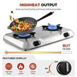 Portable 2-Burner Propane Gas Stove for Camping