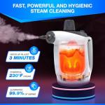 Gearwiz Handheld Steam Cleaner with 9 Accessories