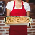 Heat Resistant Lemon Double Oven Mitt