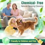 Portable 10s Rapid Heating Handheld Steam Cleaner