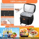 Expandable Insulated Large Lunch Box Cooler Bag