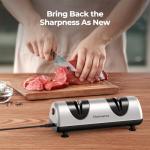 Dawnstar Electric Knife Sharpener for Home Use