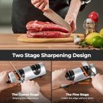 Dawnstar Electric Knife Sharpener for Home Use