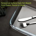 NutriUps 1.7QT Square Glass Baking Pan