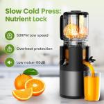 High Yield Cold Press Juicer with Wide Feed Chute