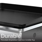 Nexgrill 2-Burner Propane Gas Griddle for Outdoor Cooking