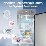 Tylza Single Door Commercial Stainless Steel Freezer