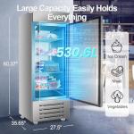 Tylza Single Door Commercial Stainless Steel Freezer