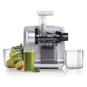 Omega Cold Press Slow Masticating Juicer, Silver