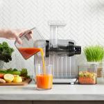 Omega Cold Press Slow Masticating Juicer, Silver