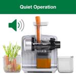 Omega Cold Press Slow Masticating Juicer, Silver