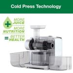 Omega Cold Press Slow Masticating Juicer, Silver