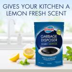 Glisten Garbage Disposer Cleaner - Lemon Scent, 2-Pack