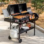 2-Burner Gas and Charcoal Combo Grill