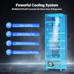 BODEGA Beverage Refrigerator with Soft LED Light