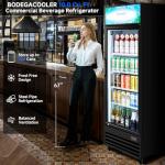 BODEGA Beverage Refrigerator with Soft LED Light