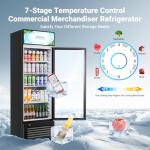 BODEGA Beverage Refrigerator with Soft LED Light