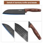 Toileum 11-Piece Black Kitchen Knife Set