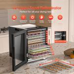 12-Tray Digital Food Dehydrator for Jerky