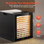12-Tray Digital Food Dehydrator for Jerky