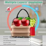 Insulated Lunch Bag for Work and Outdoor Fun